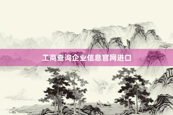 工商查询企业信息官网进口