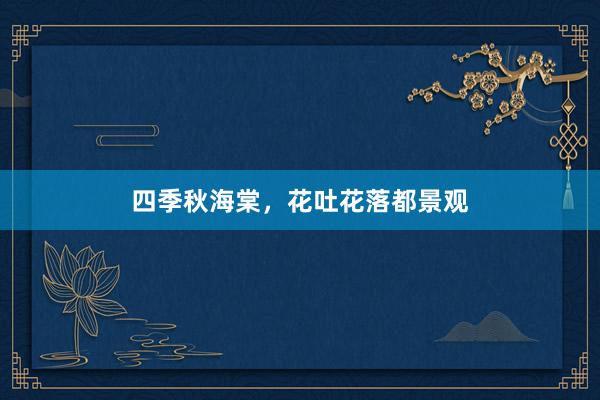 四季秋海棠，花吐花落都景观
