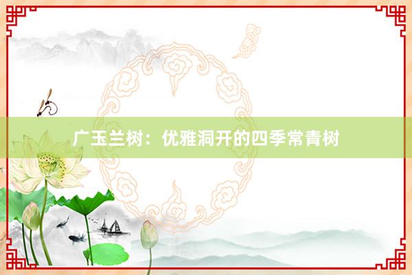 广玉兰树：优雅洞开的四季常青树