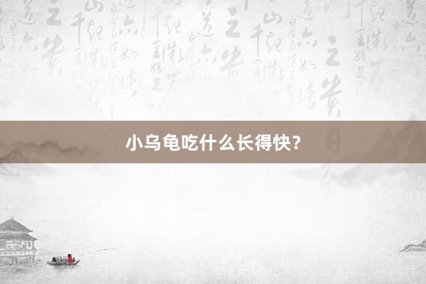 小乌龟吃什么长得快？